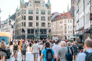 Visite à pied privée de la ville de Copenhague et du palais de Christiansborg