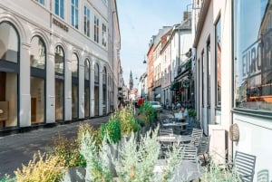 Visite à pied privée de la ville de Copenhague et du palais de Christiansborg