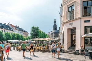 Visite à pied privée de la ville de Copenhague et du palais de Christiansborg