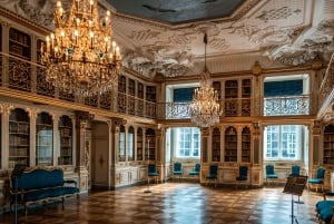 Visite à pied privée de la ville de Copenhague et du palais de Christiansborg