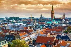 Copenhagen: Private City Walking Tour with Canal Tour Ticket