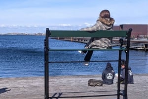 Copenhague : Visite guidée des points forts de la ville