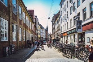 Copenhagen City & Rosenborg Castle Private Walking Tour