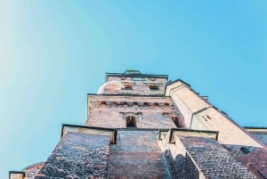 Tour privato a piedi della città di Copenaghen e del Castello di Rosenborg