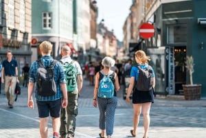 Tour privato a piedi della città di Copenaghen e del Castello di Rosenborg
