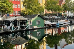 Copenaghen: Tour guidato a piedi della città con una guida locale