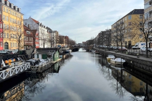 Copenaghen: Tour guidato a piedi della città con una guida locale