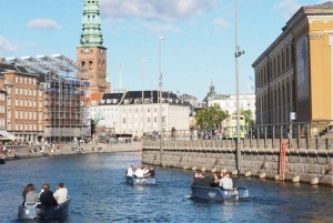 Copenaghen: Tour guidato a piedi della città con una guida locale