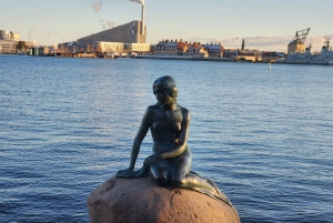 Copenhagen Combo: Walking Tour, Harbor Ferry & Royal Guards