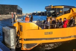 Copenhagen Combo: Walking Tour, Harbor Ferry & Royal Guards