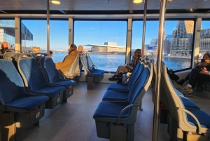 Copenhagen Combo: Walking Tour, Harbor Ferry & Royal Guards