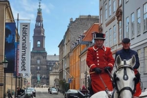 Copenhagen Combo: Walking Tour, Harbor Ferry & Royal Guards