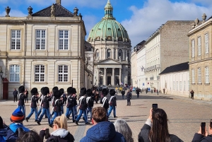 Copenhagen Combo: Walking Tour, Harbor Ferry & Royal Guards