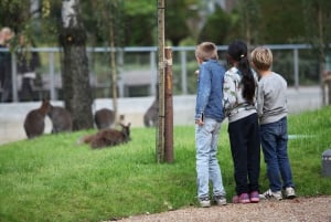 Kööpenhamina: Kööpenhaminan eläintarhan pääsylippu