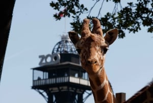 Köpenhamn: Köpenhamns zoo inträdesbiljett
