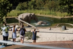 Copenhague: ingresso para o zoológico de Copenhague