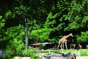 Köpenhamn: Köpenhamns zoo inträdesbiljett