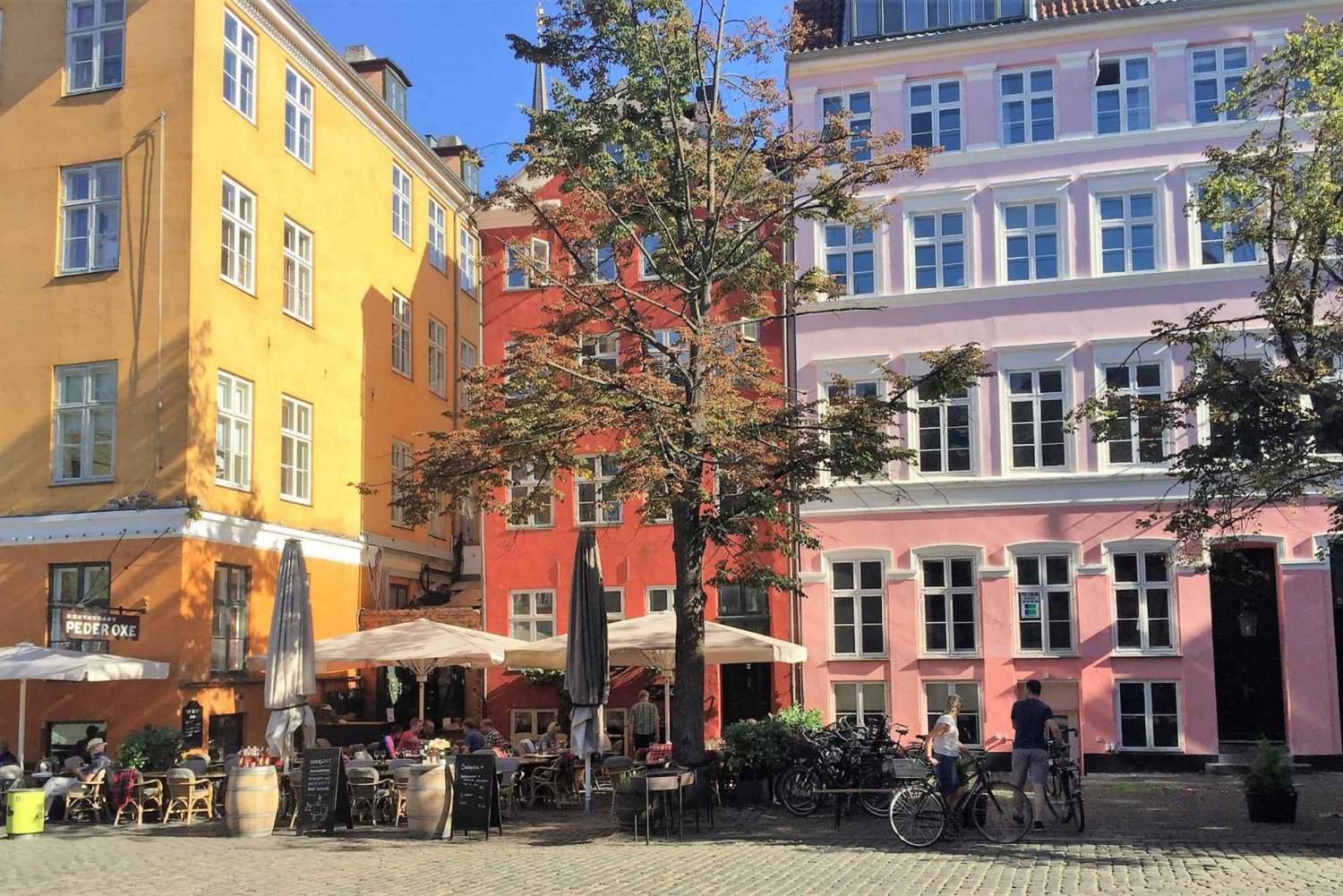 Köpenhamns sevärdheter & berättelser - 3 timmars vandringstur