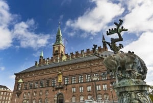 Copenhagen: Private Architecture Tour with a Local Expert