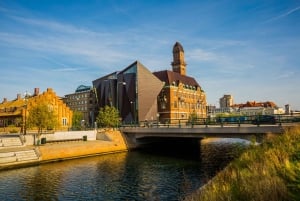 Full-Day Trip to Malmö with Swedish Lunch
