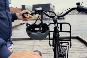 Copenhagen: Palace, Fountain, and Church Guided E-Bike Tour