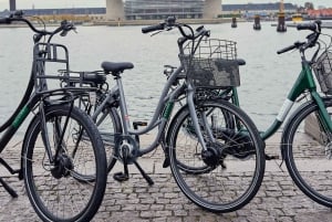 Copenhagen: Palace, Fountain, and Church Guided E-Bike Tour