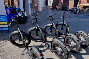 Kopenhagen: Geführte E-Scooter KickBike Tour - Alle Highlights