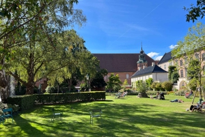 Kopenhagen: Geführte E-Scooter KickBike Tour - Alle Highlights