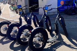 Kopenhagen: Geführte E-Scooter KickBike Tour - Alle Highlights