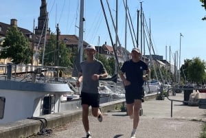 Copenhague : visite guidée en courant avec un habitant de la ville