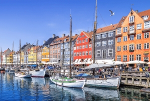 København: Guidet sightseeing i luksusbil