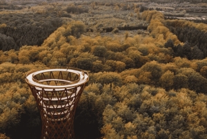 København: Guidet sightseeing i luksusbil