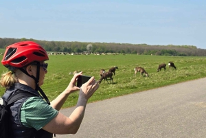 Копенгаген: Экскурсия с гидом по Оленьему парку в Клампенборге