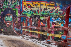 コペンハーゲン：ヴェスターブロとクリスチャンハウンのガイド付きツアー