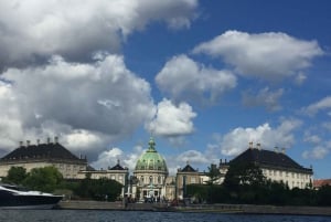 Copenhague: Visita guiada a pie