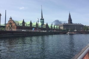 Copenhague: Visita guiada a pie
