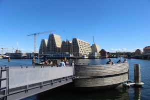 Copenaghen: tour privato a piedi dell'architettura del porto