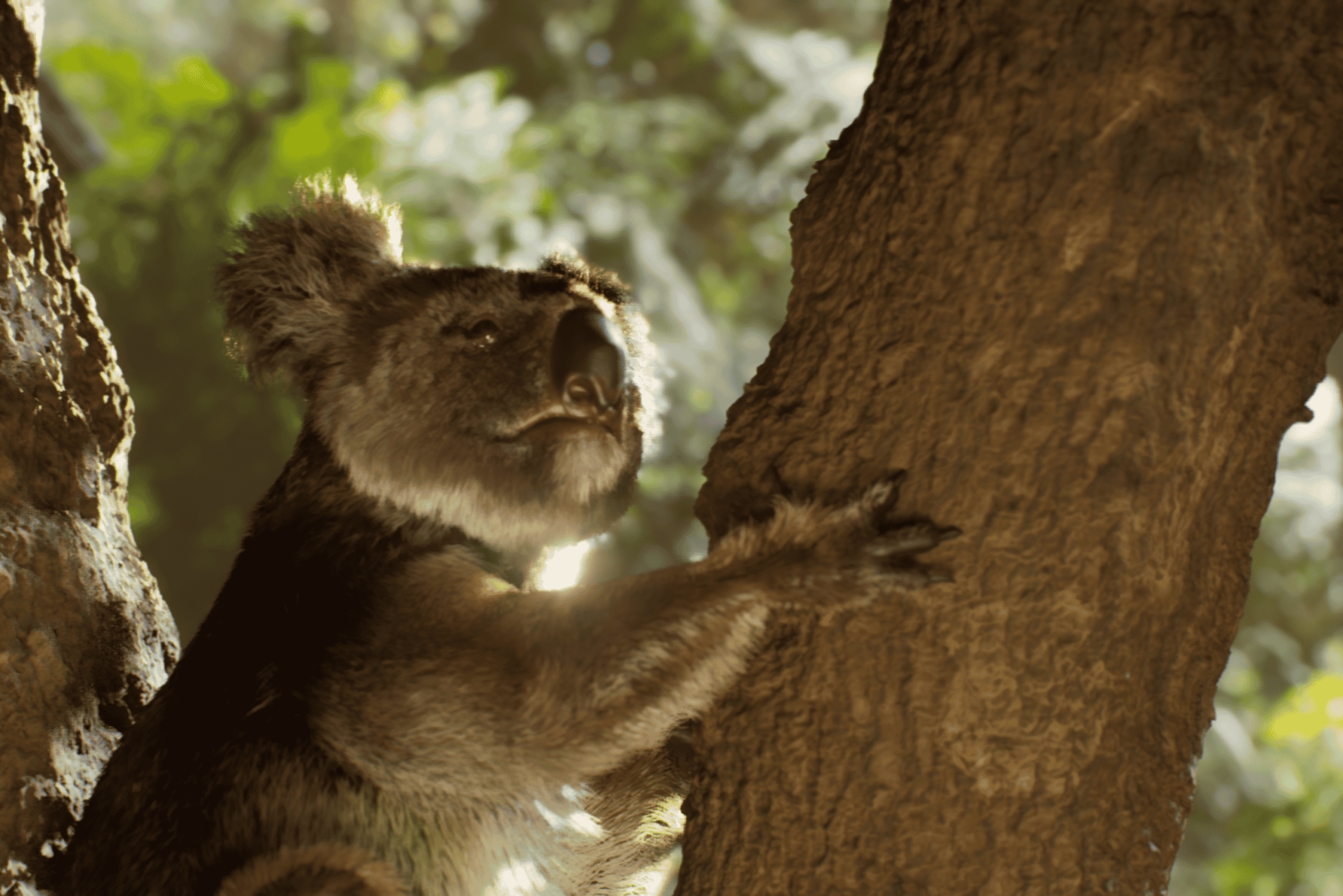 København: Hologram Zoo Australia-eventyr