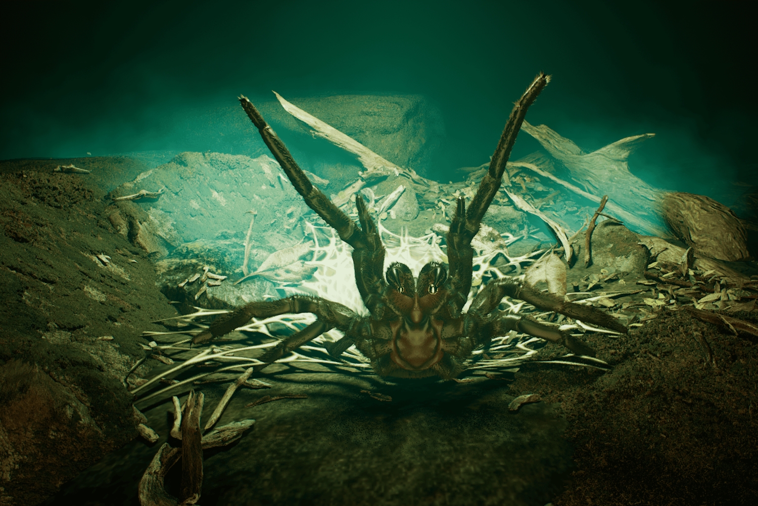 København: Hologram Zoo Australia-eventyr