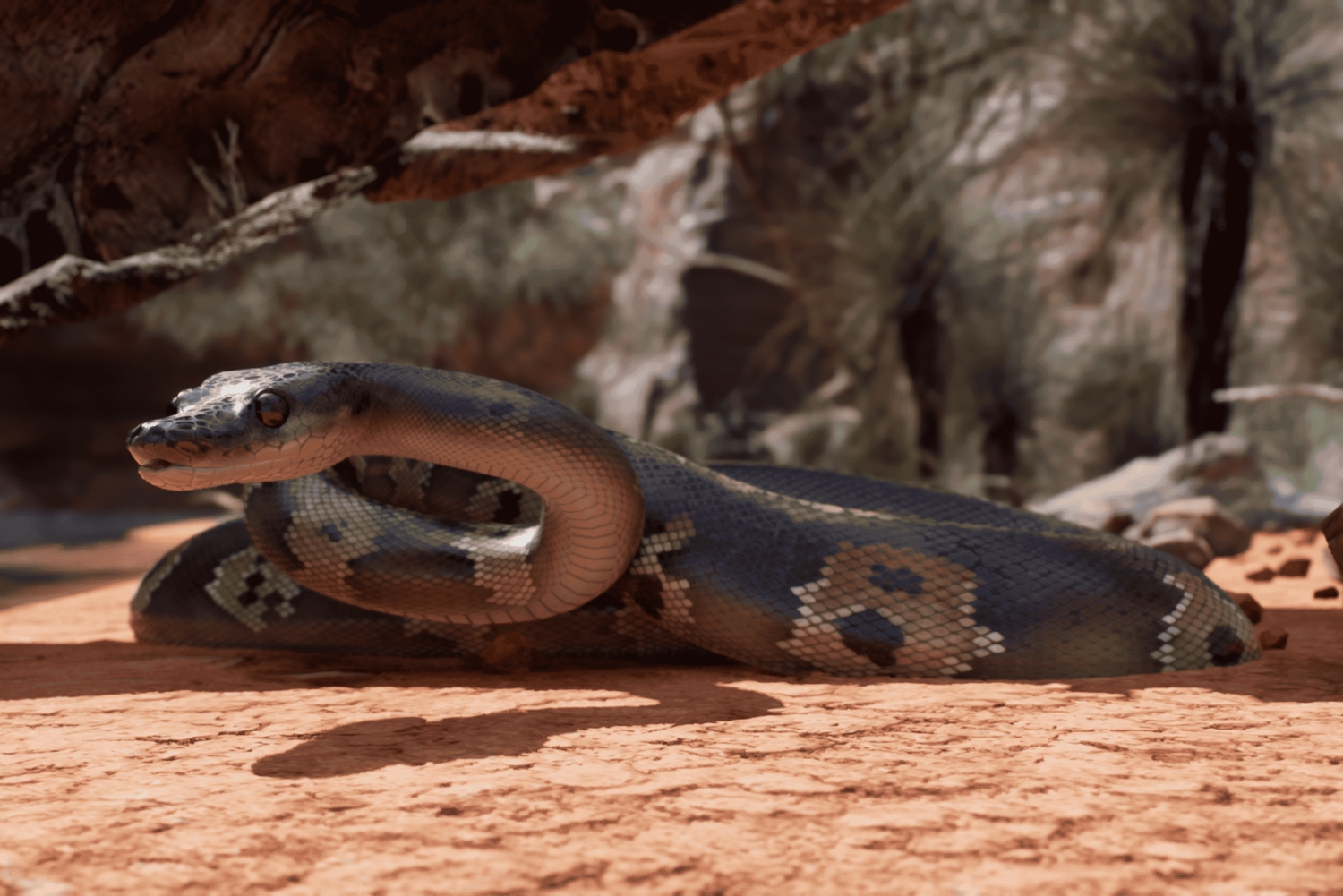 København: Hologram Zoo Australia-eventyr