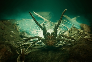 København: Hologram Zoo Australia-eventyr