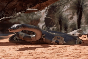 København: Hologram Zoo Australia-eventyr