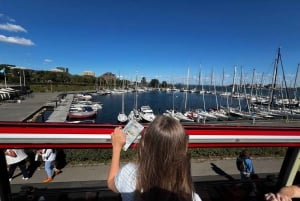 Copenhague: autobús con paradas libres