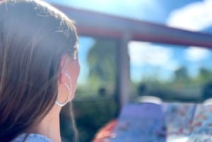 Copenhague: autobús con paradas libres