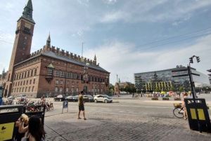 Copenhagen: inner city and Rosenborg tour