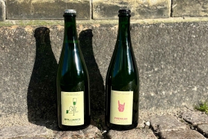 Köpenhamn: Provsmakning av lokalt bryggd Kombucha