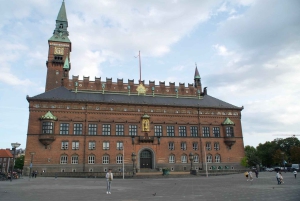 Copenhagen: Maxitour in Spanish