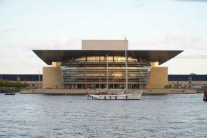 Copenhagen: Maxitour in Spanish