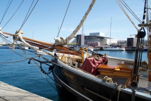 Copenhagen: Maxitour in Spanish