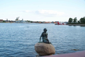 Copenhagen: Maxitour in Spanish